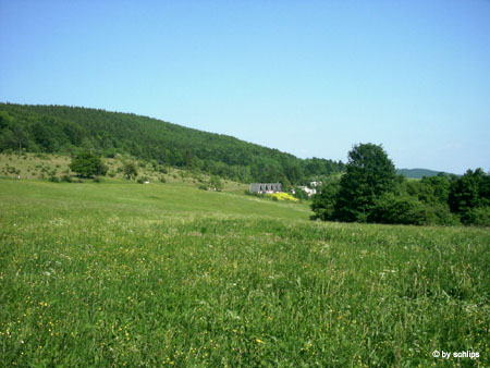 IMAG0033
